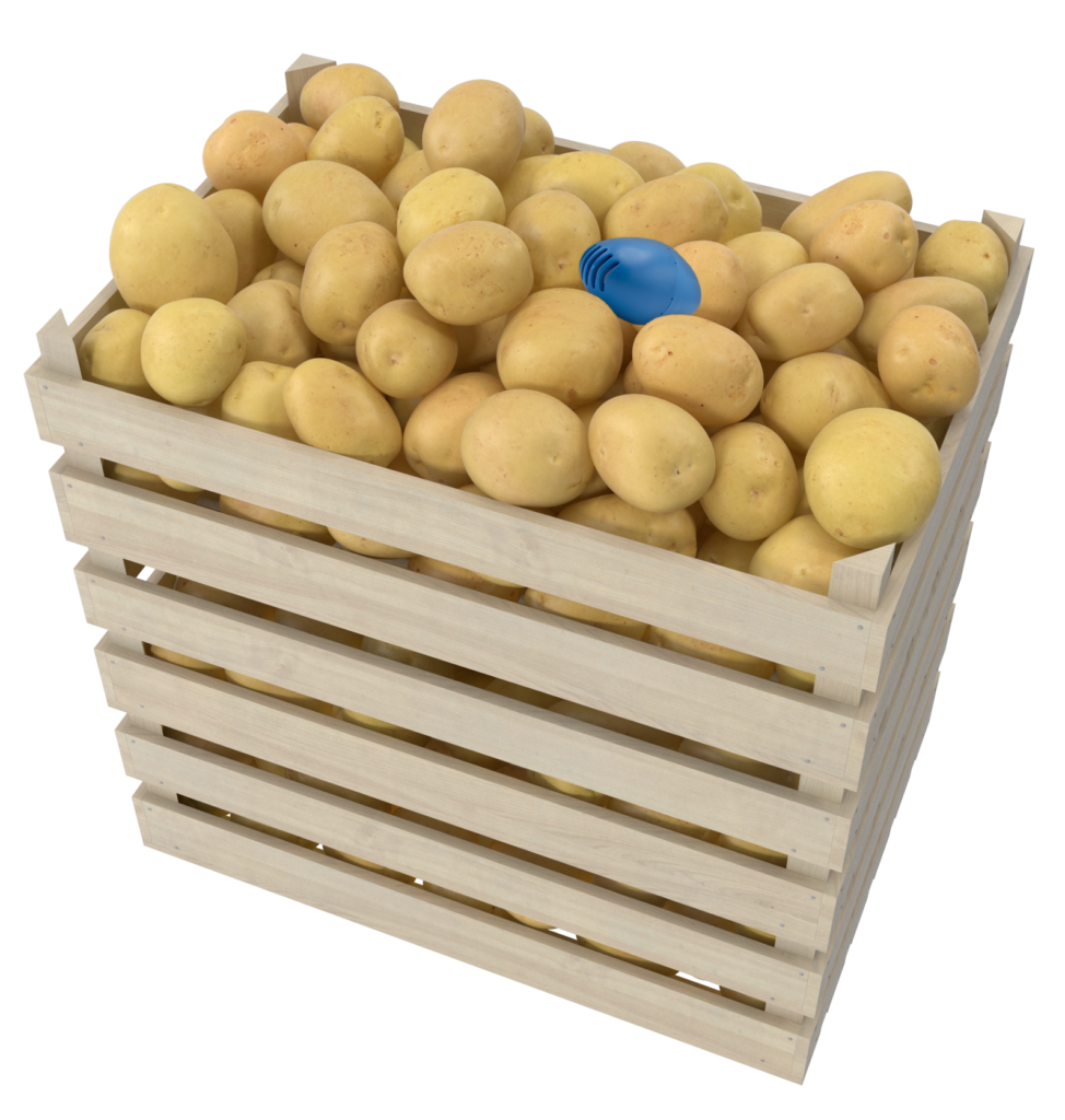 Potatoes in crate with SolAntenna