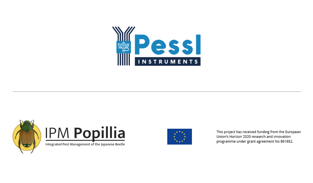 Proyecto - IPM Popillia