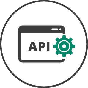 data storage and api partners services icon