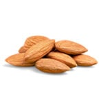 disease models - almond
