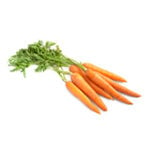 модели заболеваний - морковь