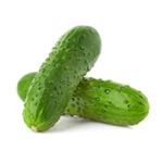 disease models - cucumber