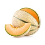 Krankheitsmodelle - Melone