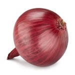 disease models - onion