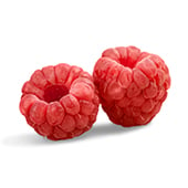 disease models - raspberry