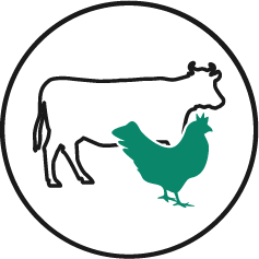 ikona zdrowia zwierząt