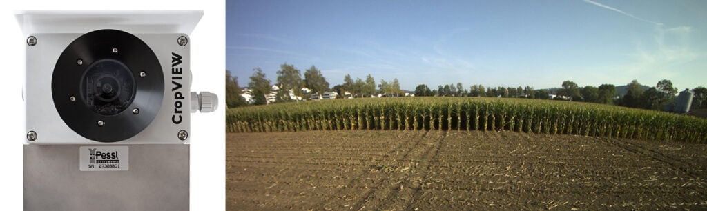 Panorama de los cultivos