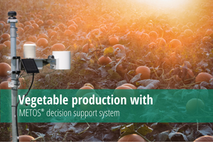Vegetable production with METOS decision support system