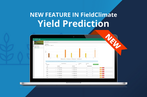 Feature_yield előrejelzés