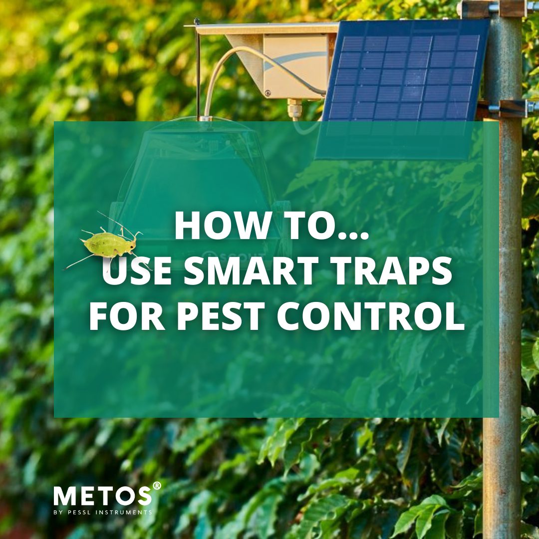 pest control_cover