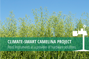 Read more about the article Climate-Smart Camelina Project