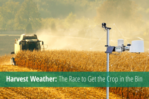 Farm Weather Talk #008 – Harvest Weather – The Race to Get the Crop in the Bin